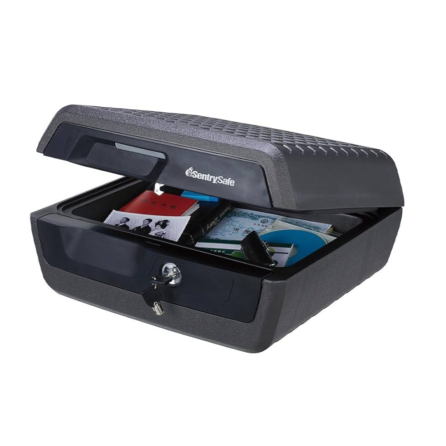 Amazon.co.jp: SENTRY (セントリー) 金庫 家庭用 ETL規格 72時間